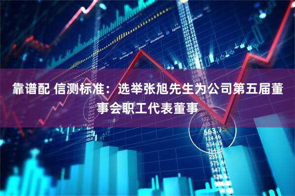 靠谱配 信测标准：选举张旭先生为公司第五届董事会职工代表董事