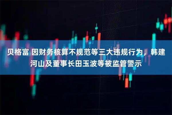 贝格富 因财务核算不规范等三大违规行为，韩建河山及董事长田玉波等被监管警示