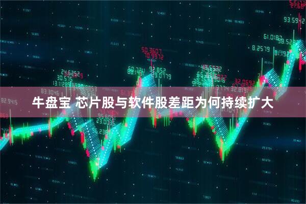 牛盘宝 芯片股与软件股差距为何持续扩大
