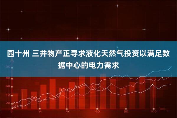 园十州 三井物产正寻求液化天然气投资以满足数据中心的电力需求